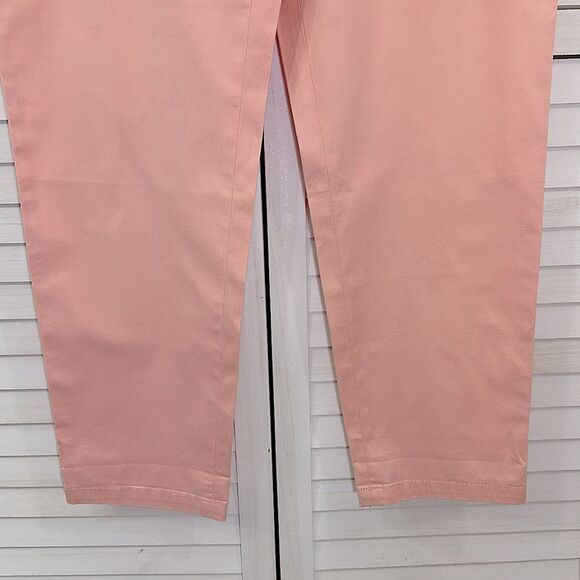 Talbots Relaxed Chino Pants Size 8 Pink Ankle Pants NWOT - Picture 6 of 11